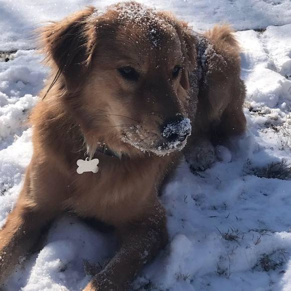 Meet your Posher, Rachel - Picture 1 of 1